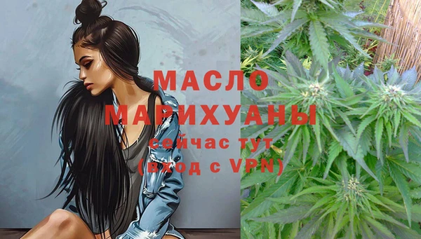 стаф Богданович