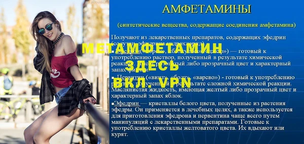 стаф Богданович