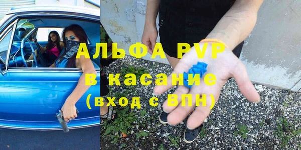 стаф Богданович