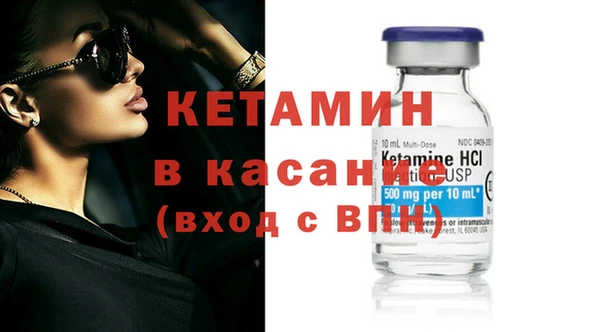 стаф Богданович