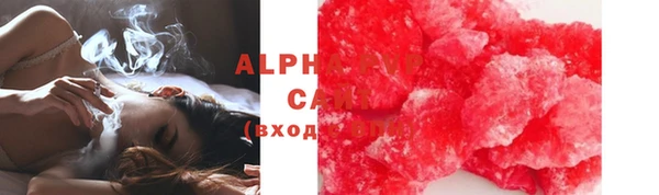 стаф Богданович
