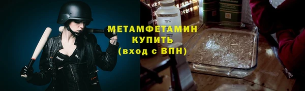 стаф Богданович
