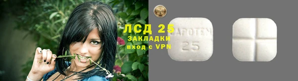 стаф Богданович