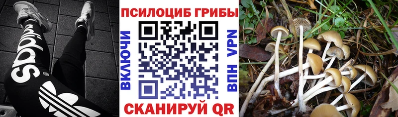blacksprut ТОР  Назарово  Галлюциногенные грибы мухоморы  где продают наркотики 